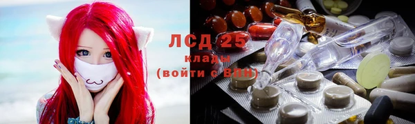 спиды Михайлов