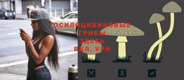спиды Михайловск