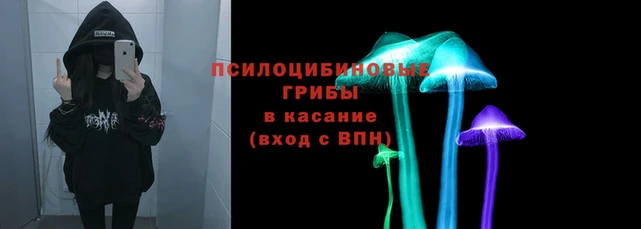 спиды Михайлов
