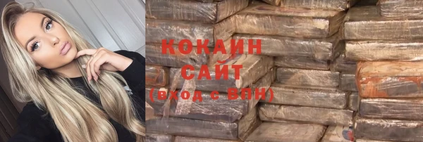 гашик Бежецк