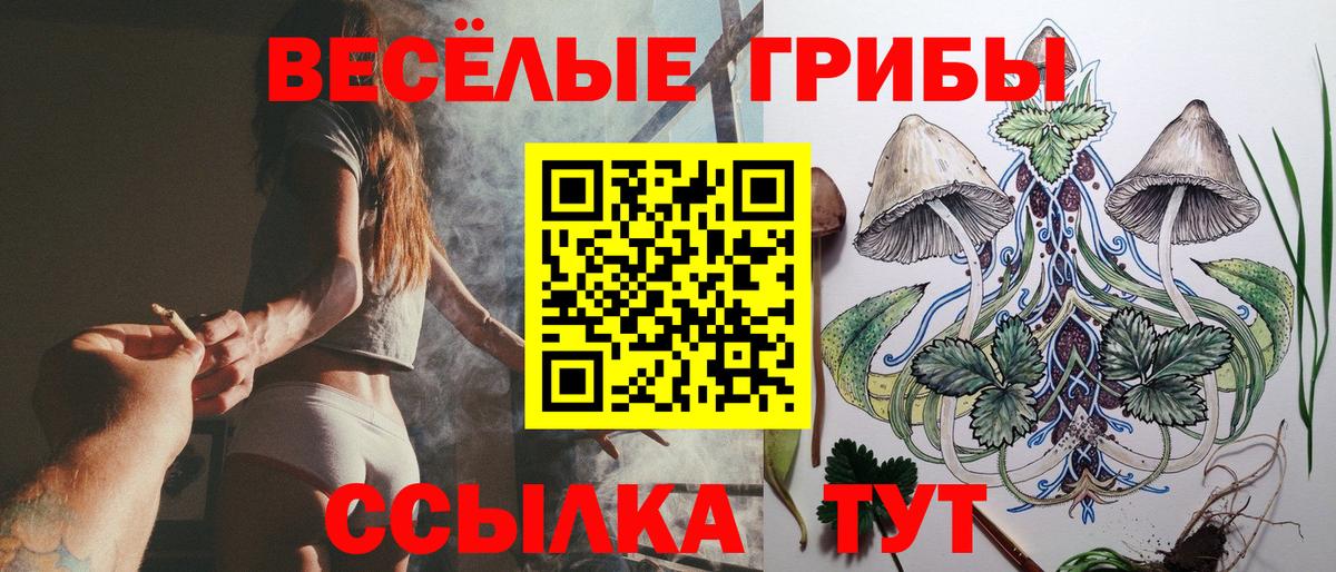 Псилоцибиновые грибы мухоморы  цена наркотик  Беслан  Галлюциногенные грибы мухоморы 