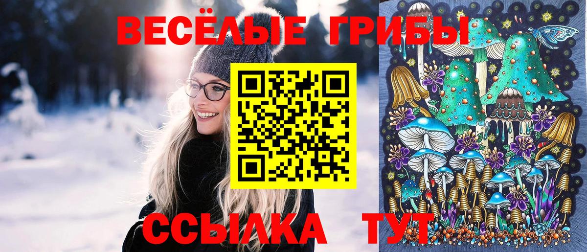 Беслан  купить наркотики цена  Вход с VPN  Псилоцибиновые грибы Psilocybine cubensis 